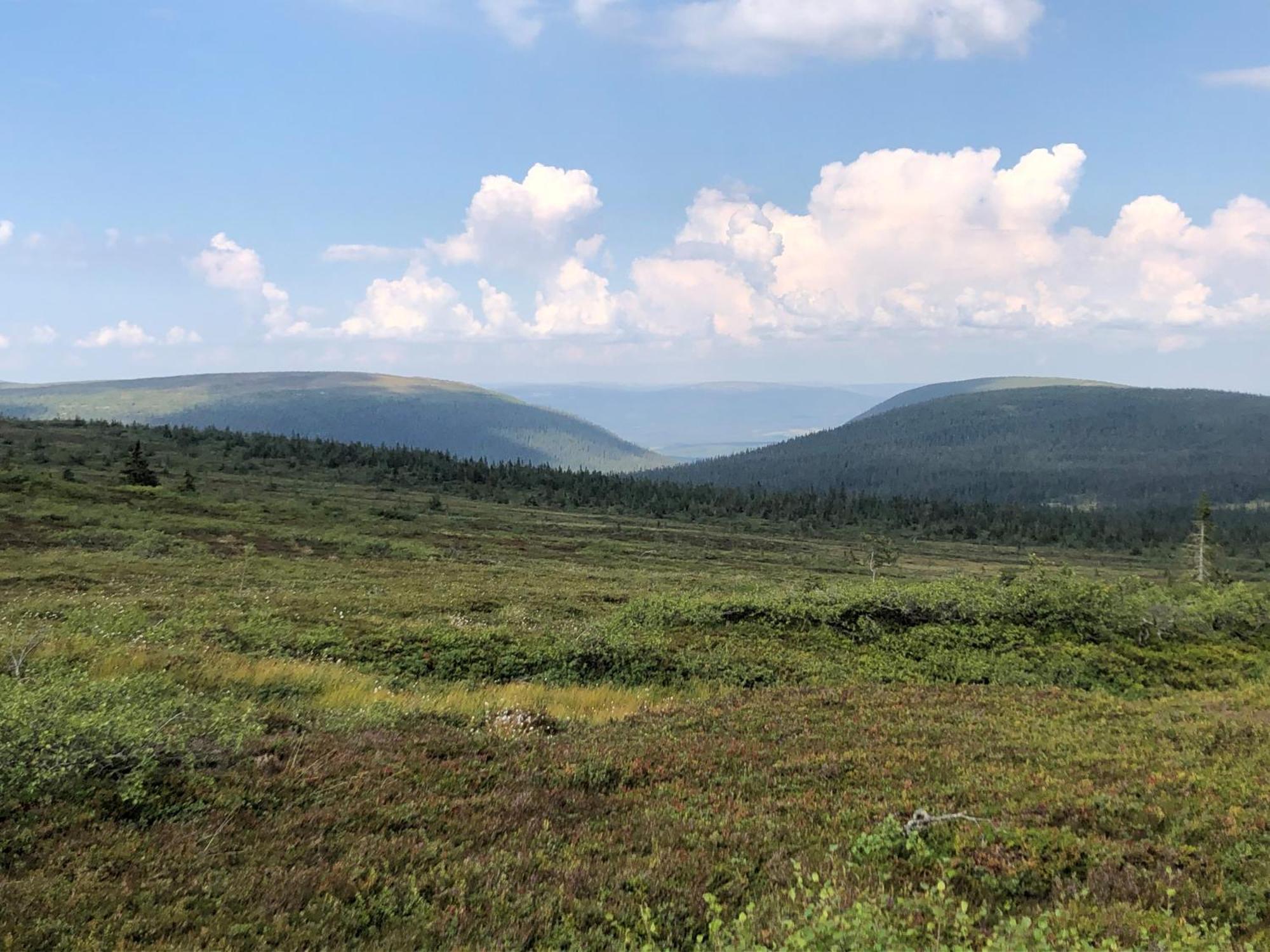 Mountain Lodge Stöten Εξωτερικό φωτογραφία