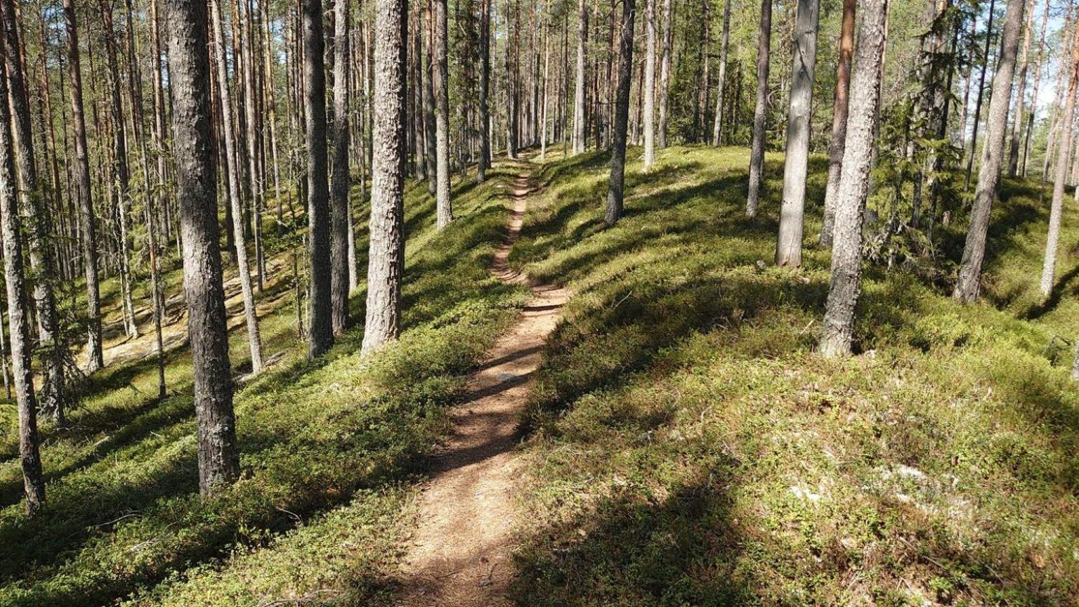 Mountain Lodge Stöten Εξωτερικό φωτογραφία